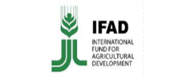 IFAD | International Fund for Agricultural Development