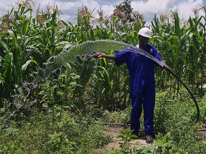 EU, Denmark offer UGX66 bn to Ugandan farmers